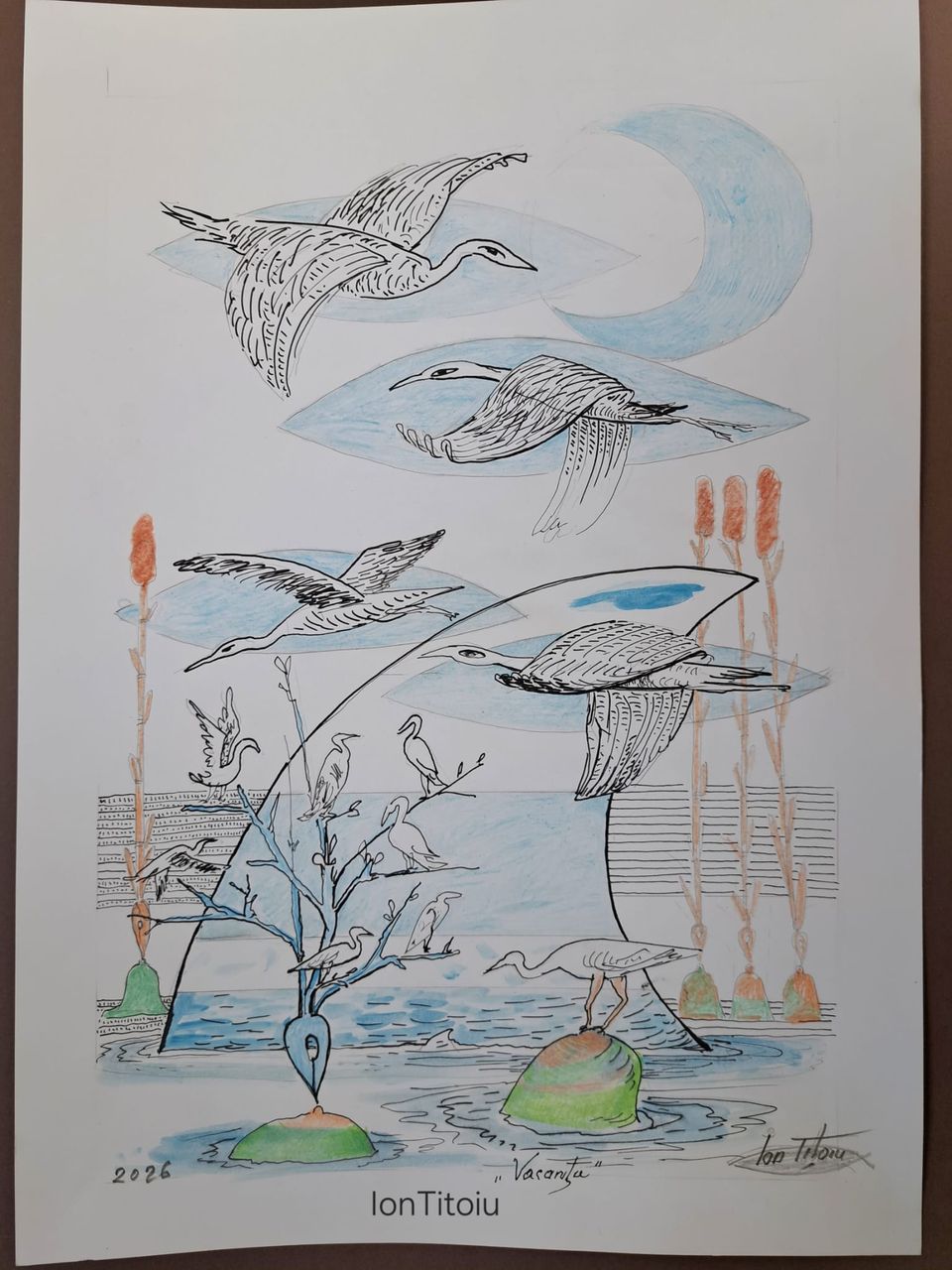 Vacanța (stârci în Deltă)