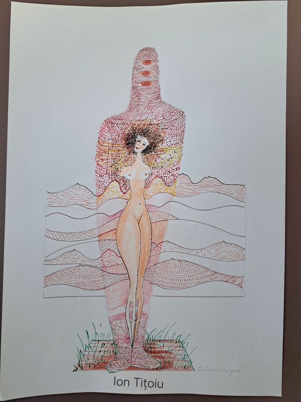 Coline dobrogene cu nud