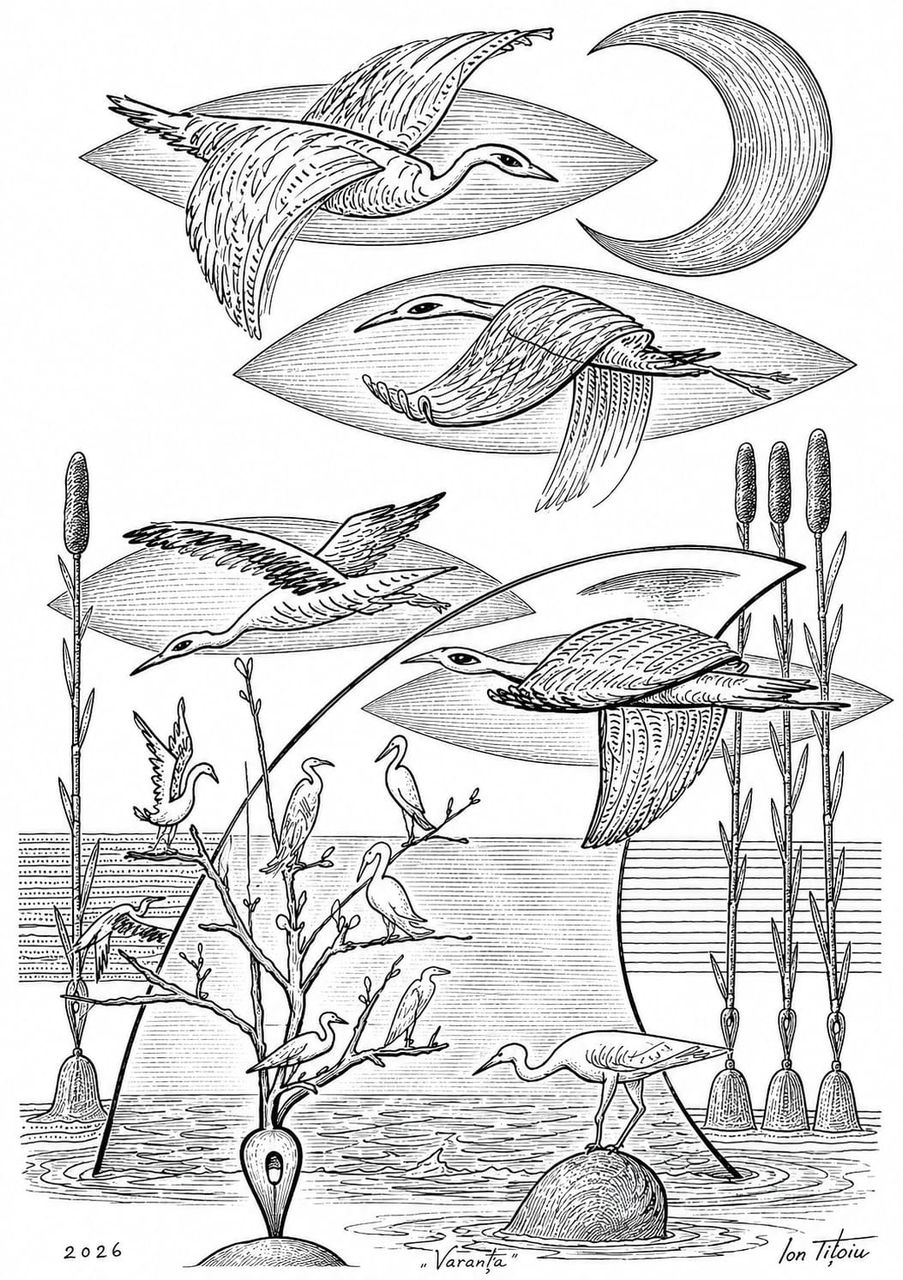 Varanța — stol de berze