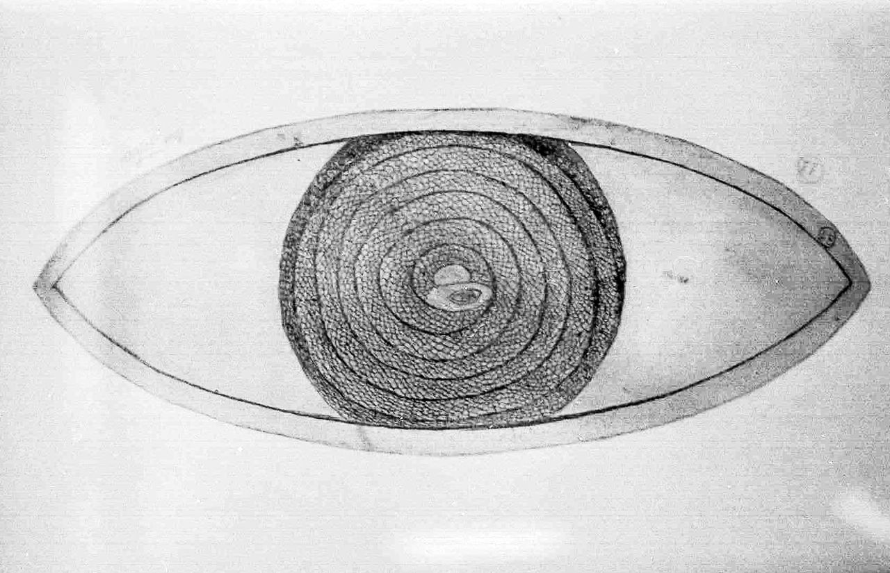 Ochi cu iris spiralat